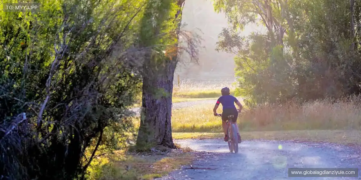 升级扑克现金对战:真钱升级拖拉机,配合默契赢大钱